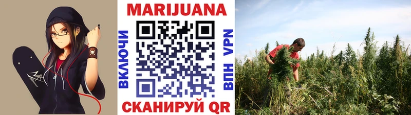 Магазины продажи наркотиков Сосновоборск Кокаин  A-PVP  Меф  Гашиш  Псилоцибиновые грибы  Марихуана 