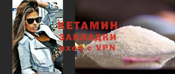 шишки Арсеньев