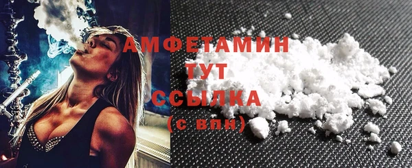 шишки Арсеньев