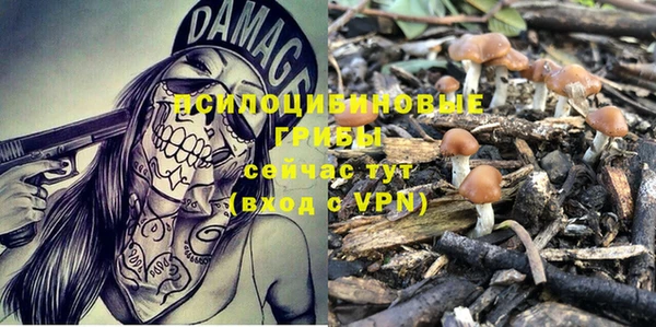 MESCALINE Армянск