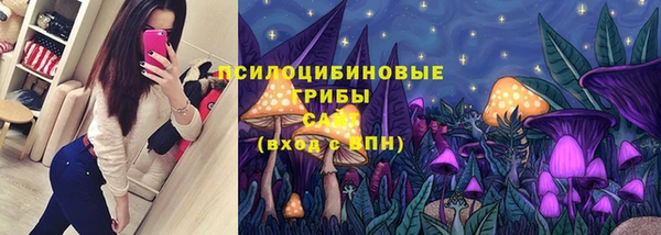 шишки Арсеньев