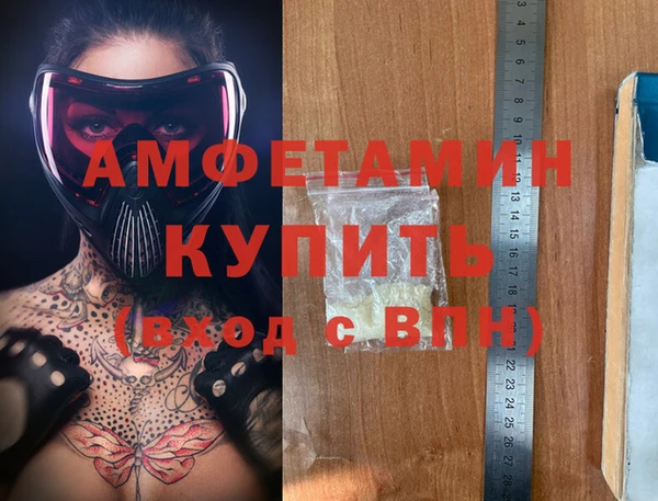 шишки Арсеньев