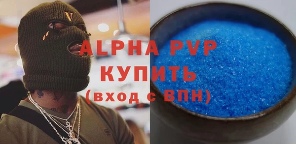 шишки Арсеньев