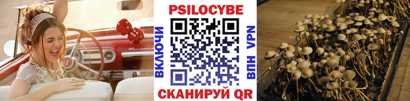 купить наркотик  Сосновоборск  Галлюциногенные грибы GOLDEN TEACHER 