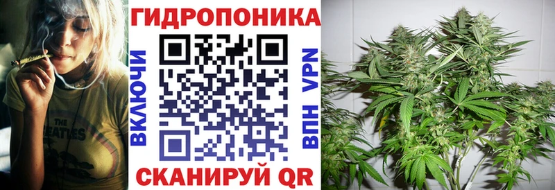 Бошки марихуана MAZAR  omg ссылки  Сосновоборск 